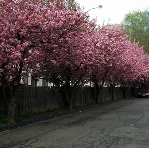 Meet your Posher, Sue